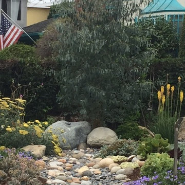 Rose in Bloom Backyard Makeover