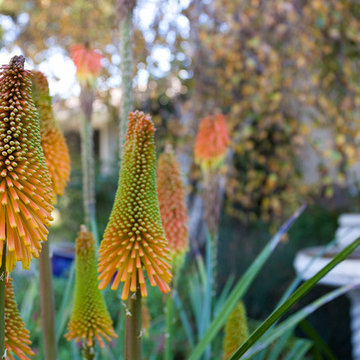 Armacost Garden