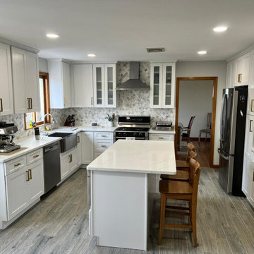 Calacatta Zion Quartz Countertops Remodel