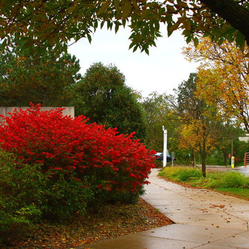 Outdoor Landscape & Botanical Photography