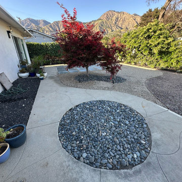 Full EE Backyard