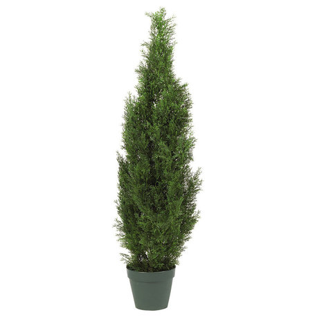4' Cedar Tree Silk Tree, Indoor and Outdoor