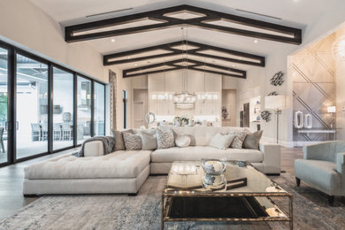 Transitional family room photo in Miami