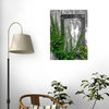 Old Wall with Ivy Wall Mural - 60 Inches H