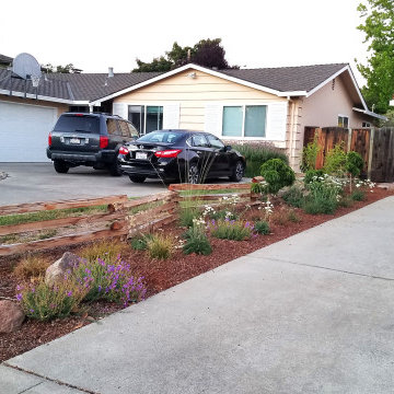Saving Water and Supporting Wildlife with a Lawn Conversion