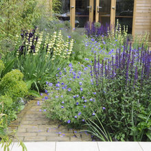 New garden