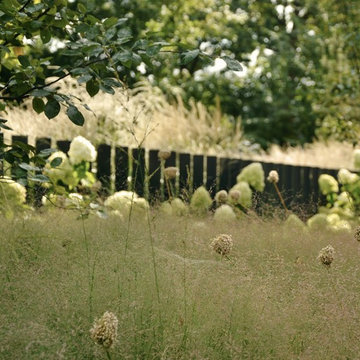 Garden in Berlin