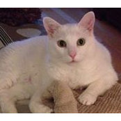 Karrie Rose's photo