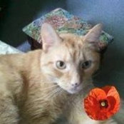 Kathryn Bender's photo