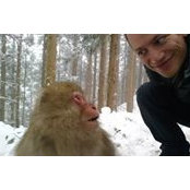 Stephen Gottlieb's photo