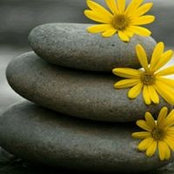Michelle Sawyer's photo