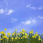 Melissa Murphy Burke's photo