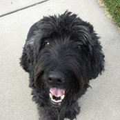 Dennis Eastin's photo