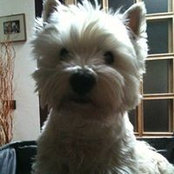 Silvia Bianchini's photo