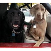 Janelle Wahl-Frisch's photo