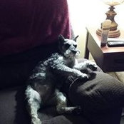 Susan Stecklein's photo