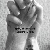 Dena Glathaar Petrie's photo