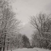 Tara Doolittle's photo
