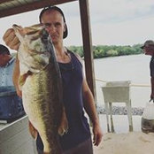 David Arsenault's photo