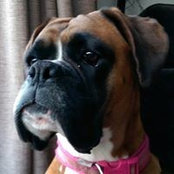 Ian Henderson's photo