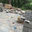 R & D Landscaping