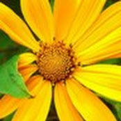 Fernanda C Bellucci's photo
