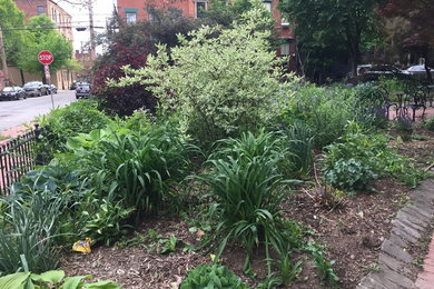 An Urban Retreat/Community Garden