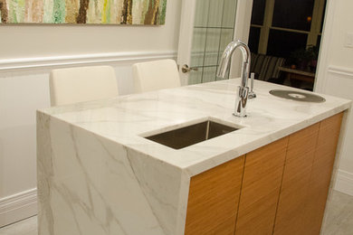 Inspiration for a contemporary kitchen remodel in Toronto