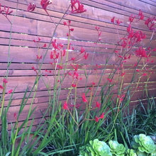 Landscape ideas