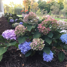 Lake Home Garden