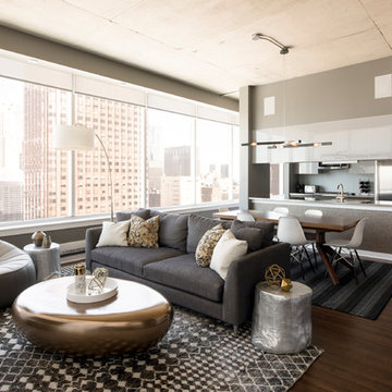 South Loop Contemporary Condo