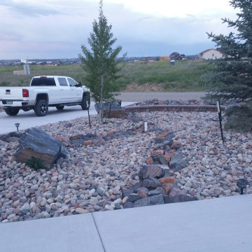 Xeriscaping