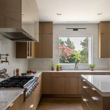 Vienna Contemporary Kitchen