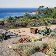 Landscaping for Sport