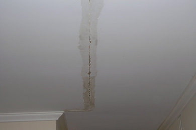 Living room repair and repaint