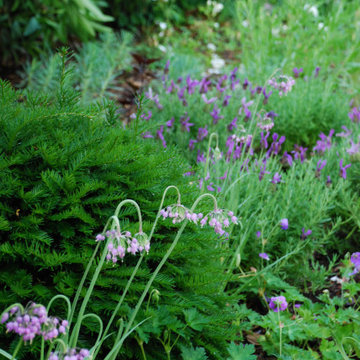 Impressions - Jardin