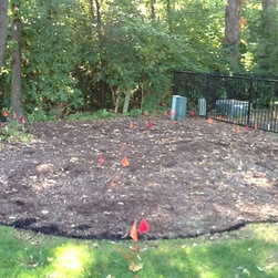 Before and After Landscape - Products