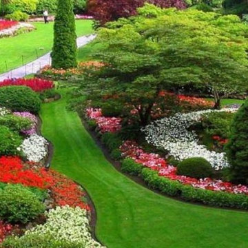 Custom Plants/Flowers/Shrubs/Tree Beds Installation & Configuration