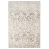 Paisley Sky Indoor/Outdoor Rug - 5 x 7