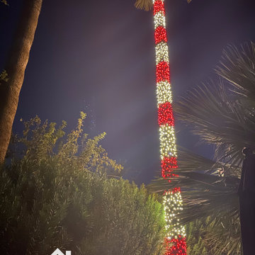 Christmas Light Installation by Stay Off The Roof!