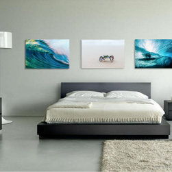 Joel Coleman in homes - In Situ Library - Photographs