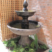 front yard