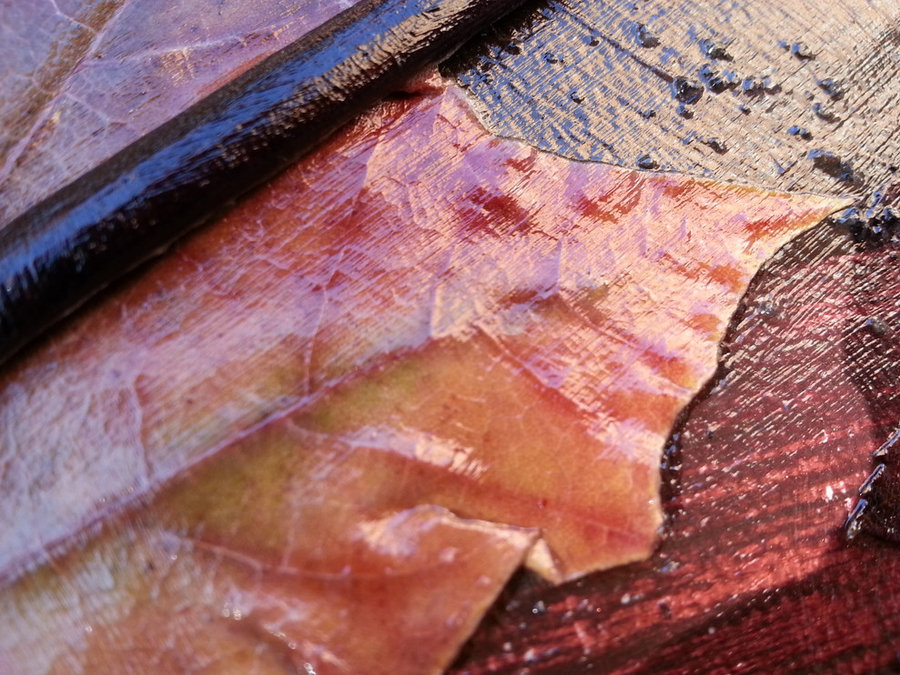 Detailed shot of "Pause"
