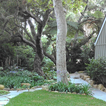 Shade Garden