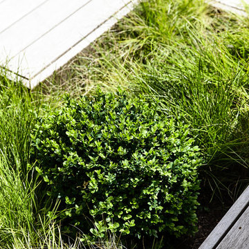 Blairgowrie Coastal Home & Landscape