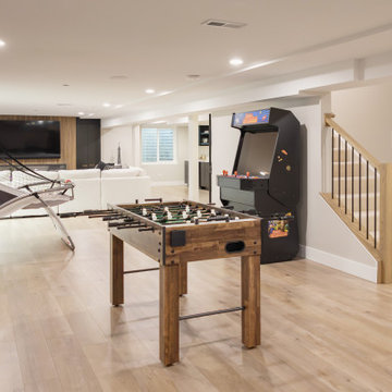 Contemporary Family Basement - Lake Barrington