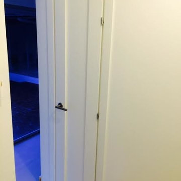 Modern Swing Door in Matte White Finish