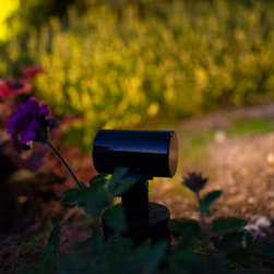 Mini Wall Washer Lights - Landscape Lighting
