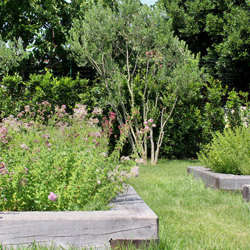 Mediterranean garden