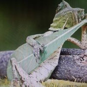 Foto von Tammy Smith